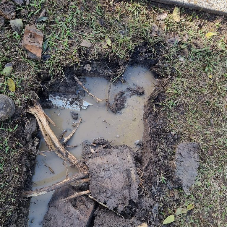 294478409_112718974848162_3138798192861649864_n