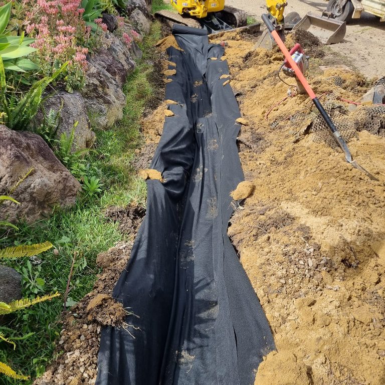 300020583_121990573921002_5015604835340093863_n